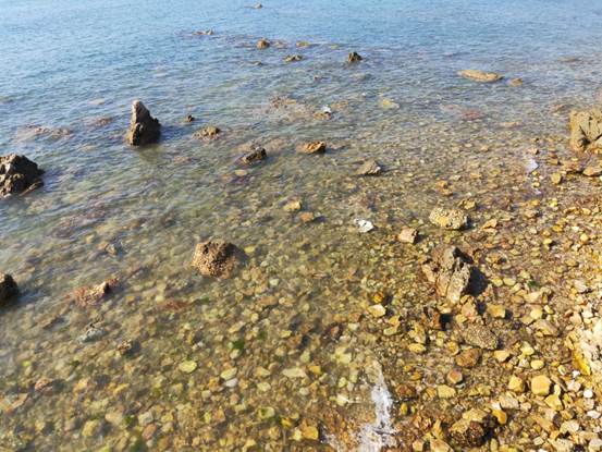 说明: c65dd630f6cb4b49ea4f41d627a30c7