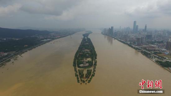 图为长沙橘子洲观光台被淹。<a target='_blank' href='http://www.chinanews.com/' _fcksavedurl='http://www.chinanews.com/'>中新社</a>记者 杨华峰 摄 点击进入下一页
