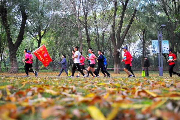 缤纷冬日 花式奔跑